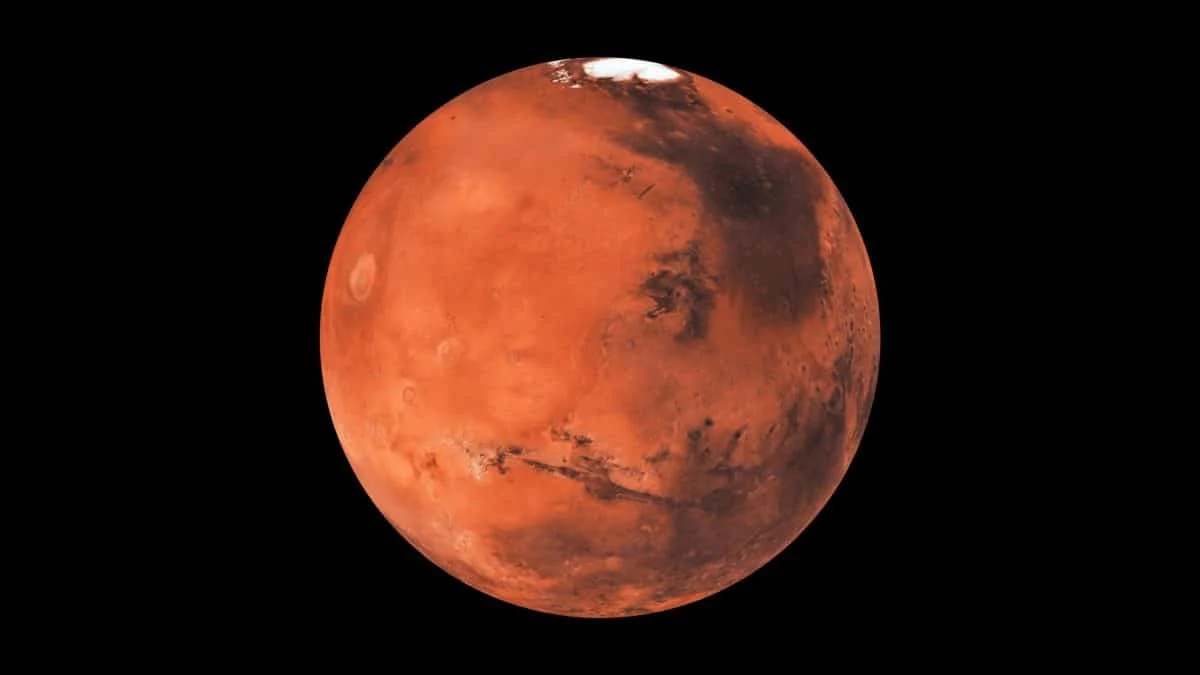 Устойчивый грибок из NASA может пережить полет на Марс и создать проблемы для поиска жизни